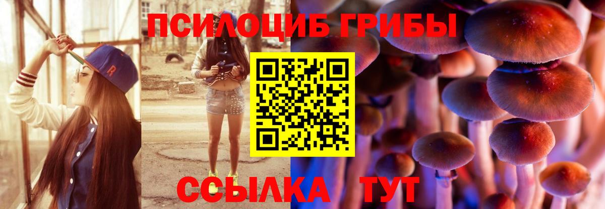 Галлюциногенные грибы GOLDEN TEACHER  Вход с VPN  Псилоцибиновые грибы MAGIC MUSHROOMS  Орехово-Зуево 